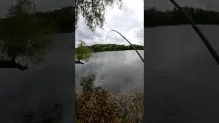 Das beste Rig f&uuml;r meine selbstgebaute Angel #angeln