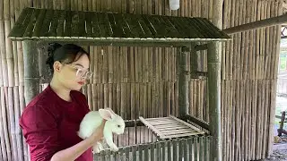 Building Bamboo Fence And Make A Rabbit Hutch Out Of Bamboo
