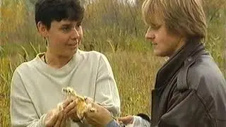 Robinsonowie - 4. Naturalne źr&oacute;dła pokarm&oacute;w pochodzenia roślinnego (1995)