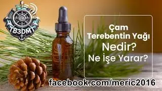 Çam Terebentin Yağı Ne İşe Yarar? Faydaları nelerdir? #meric2016 #tb3dmt