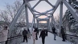 Walking in Deep Fluffy Snow & Shirahige Waterfall Sunset ❄️🌊🌅