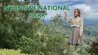 RWANDA VLOG: INSIDE A NATIONAL PARK IN RWANDA🇷🇼 | RAINFOREST | NYUNGWE NATIONAL PARK