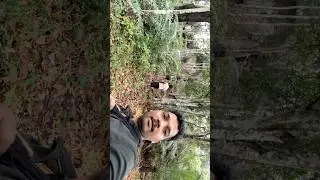 Pepper harvesting #Part-1