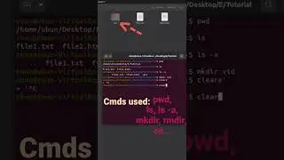 Linux commands | most basic commands you should know #cmd