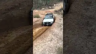 barra patrol