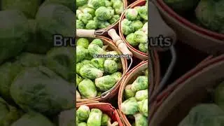 Anti-Inflammatory Foods to Eat: Vegetables!
