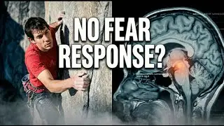 Alex Honnold vs Taipei 101: Is His Brain Broken? (Psychology Analysis Podcast)