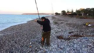 Mormora / marbr&egrave; - striped sea bream