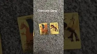 The charizard gang