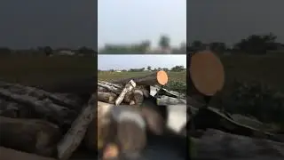 kecelakaan mobil truck kayu container truck accident