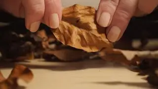 Binaural ASMR. Dry Leaves | ASMR-dvent Calendar #4