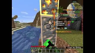 Выживаю на mc.reallyworld.ru 6.1