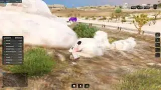 OG BITKI THR | WINGG