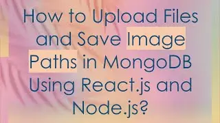 How to Upload Files and Save Image Paths in MongoDB Using React.js and Node.js?