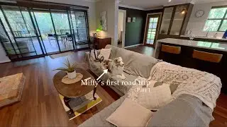 Perth weekend vlog | Australian Shepherd | Miffy&rsquo;s first road trip to Busselton Part 1