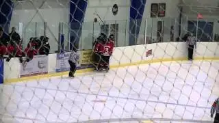 Tyler Clarke Goal vs Dresden Kings Jan. 20/13