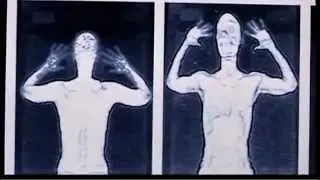 How the TSA's scanners work