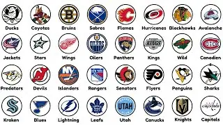 Every NHL Team's Name and Logo Explained in 12 Minutes