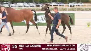 Lot 35 : Met la gomme