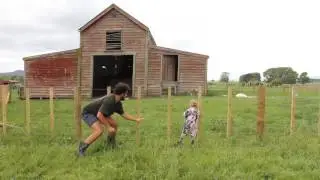 HOW TO TEACH A BABY TO CLIMB A FENCE
