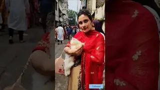 কেউ কি গিফ্ট নিতে চান, আমি কিন্তু চাই  #pets #petlovers #catlovers #cat  #youtubeshorts #shorts