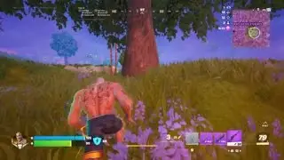 Fortnite Solo Easy Victory