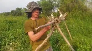 Sinh tồn 0 đồng 