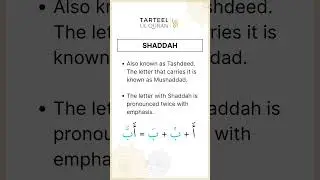 Learn About Shaddah  #tajweed #learning #quran