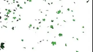 Leaves Falling Animation