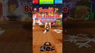 อัพเดต! Pet Evolution Build a zoo #roblox #buildazoo