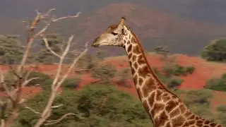 The Motse - Kalahari Desert (South Africa)