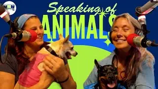 Speaking Of Animals - All You Need Is Love! - September 20, 2025