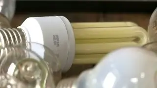 Recycler ses ampoules, un vrai casse-tête