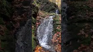 Valea Rea,muntii Rodnei. #relaxing #autumn