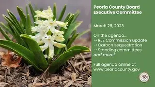 Peoria County Executive Committee