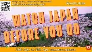Amazing Japan, this time is on Kyushu Island, watch Sakura TV 6pm Australia EST & 8pm NZ on 15 April