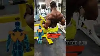 SEATED MACHINE ROW (How To)