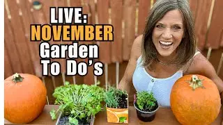 LIVE: November Garden To-Do&rsquo;s: Fast, Easy & Essential (REPLAY)