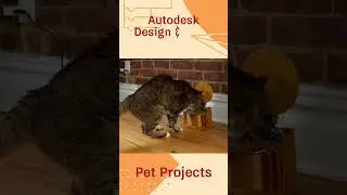 @Autodesk Design & Make Weekend Project: Pet Projects