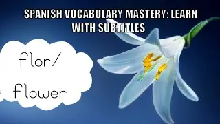 #learnspanish #spanishlessons #spanish language with visuals retention is  key 🔑