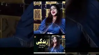 Gul Shondey Me Ashna | Meena Ulfat | Pashto New Song