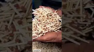 matchbox making process #matchbox #matchbox20 #factory  #smallscaleindustriespaperplatespapercup