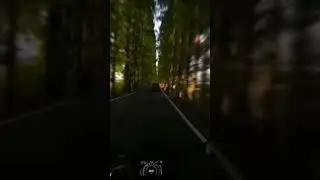 Harmony in Motion: A Biker's Journey Through Sunset and Symmetry
