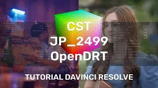 What is the best Output Transform in Davinci Resolve? | Tutorial Davinci Resolve