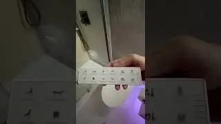 Swan Toilet Smart Bidet Review/Demo!
