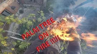 Palm tree catches FIRE with a  Tree Climber still in it.Toulouse, France