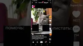 Как получить галочку в Likee