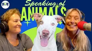 Speaking Of Animals - Training Service Dogs for Veterans & First Responders