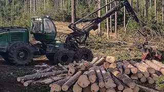 John Deere 1470E in a 140 year old spruce forest