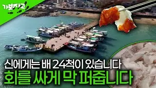 대한민국에서 회를 가장 싸게 구할 수 있는 곳…삼길포 선상 포구 횟집 [가보자고]